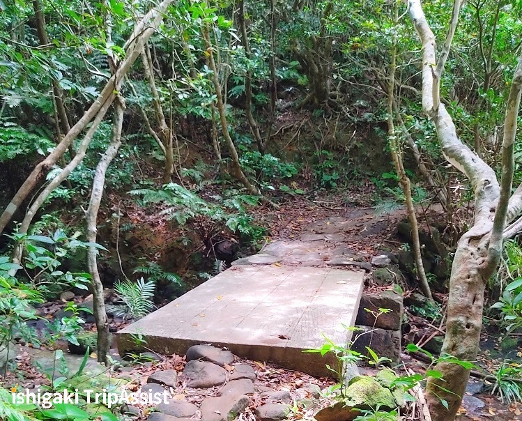 Kanbiree Hiking Trail bridge