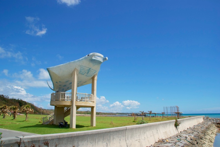 MantaRay Observatory