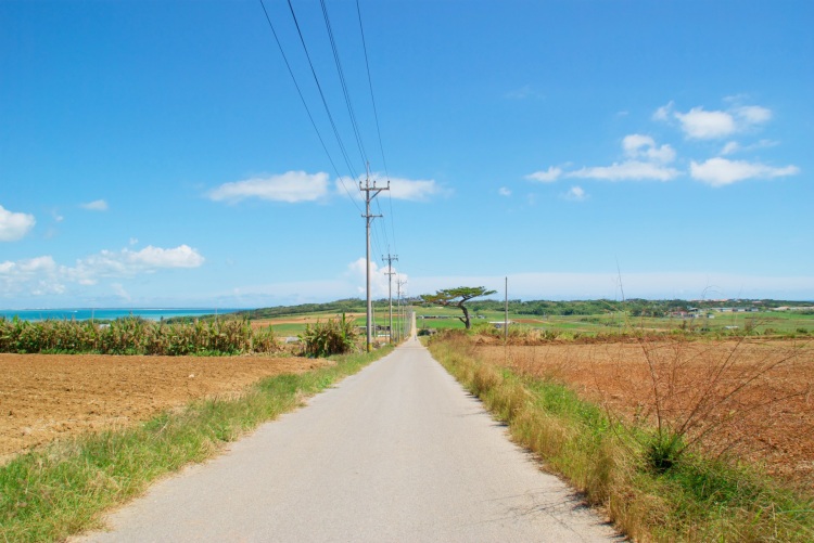 Sugar Road