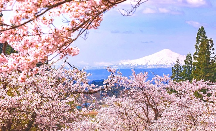 spring Japan