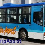 石垣島のバス