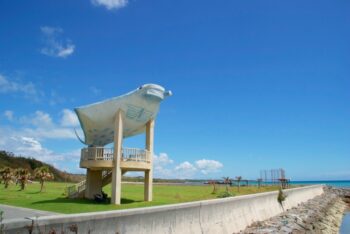 MantaRay Observatory