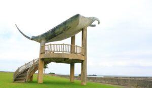 MantaRay Observatory