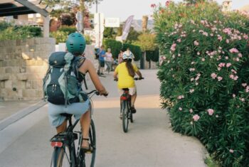 Rental Bike